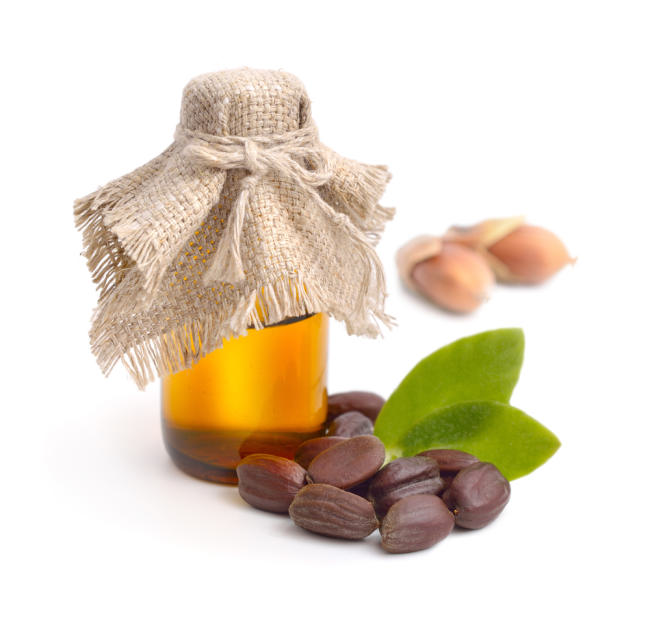 Benefici dell'olio di jojoba che devi conoscere