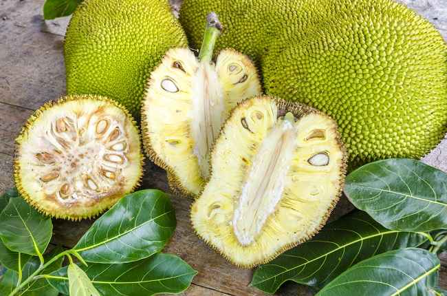 Jackfruit'in Alabileceğiniz Çeşitli Faydaları