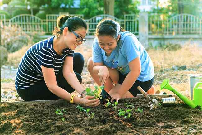 Benefici del giardinaggio e della cura delle piante per la salute