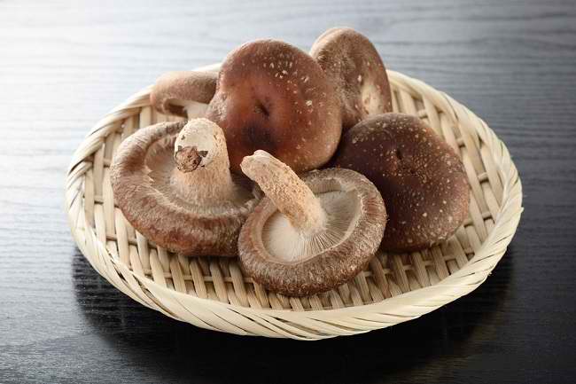 Scopri i vari benefici e le ricette dei funghi Shitake