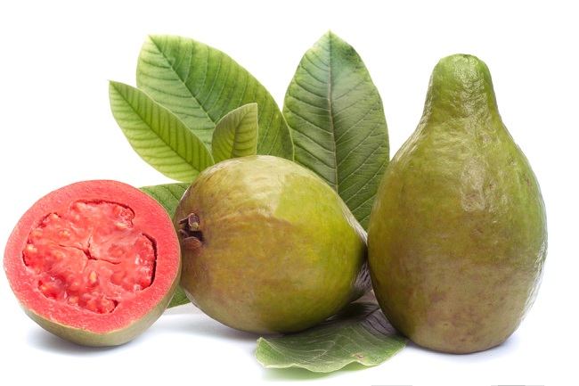 Guava Yaprağının Sadece Meyvesinden Değil Faydalarından Yararlanın