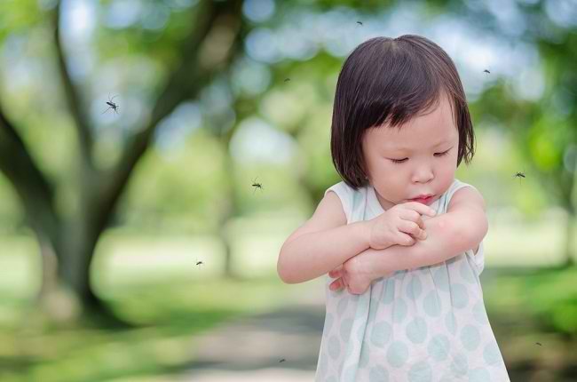 طرق آمنة وفعالة لمنع الأطفال من لدغات البعوض